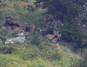 ao&ucirc;t 2003 Roc d'enfer