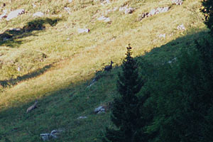 ao&ucirc;t 2003 Roc d'enfer
