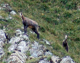 ao&ucirc;t 2003 Roc d'enfer