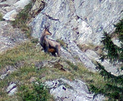 ao&ucirc;t 2003 Roc d'enfer