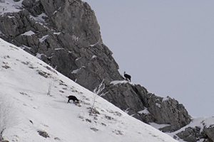 d&eacute;cembre 2003 col de haute pointe