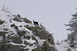 d&eacute;cembre 2003 col de haute pointe
