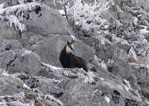 d&eacute;cembre 2003 col de haute pointe