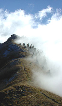 la couennasse, 3 novembre 2001