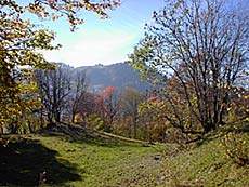 2 novembre 2001