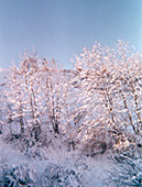 f&eacute;vrier 1997