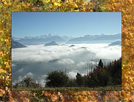 Onnion, 2 novembre 2001