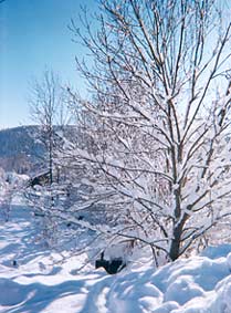D&eacute;cembre 1999