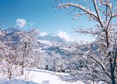 D&eacute;cembre 1999
