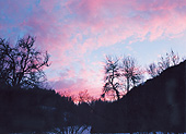 Et&eacute; 1998
