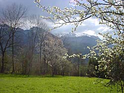 vers Onnion